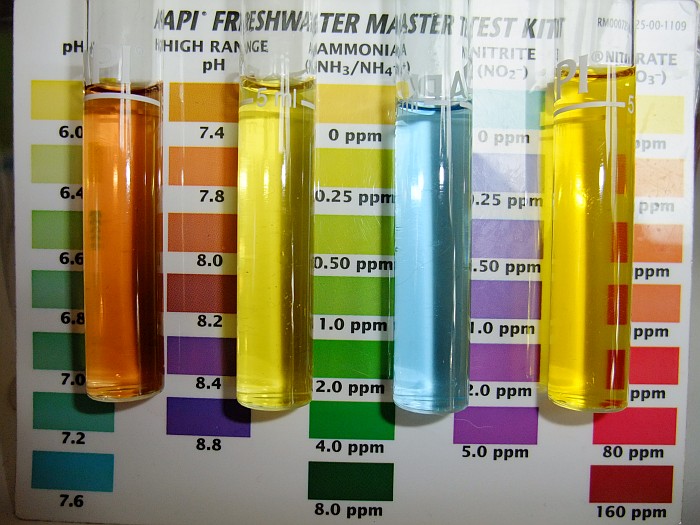 Tank 2 3rd June 2014.jpg