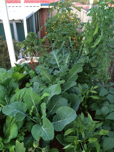 IMG_1042 Resized.jpg