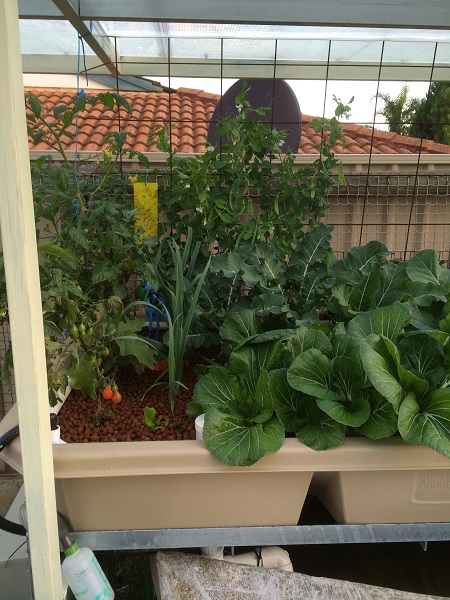 IMG_1040 Resized.jpg