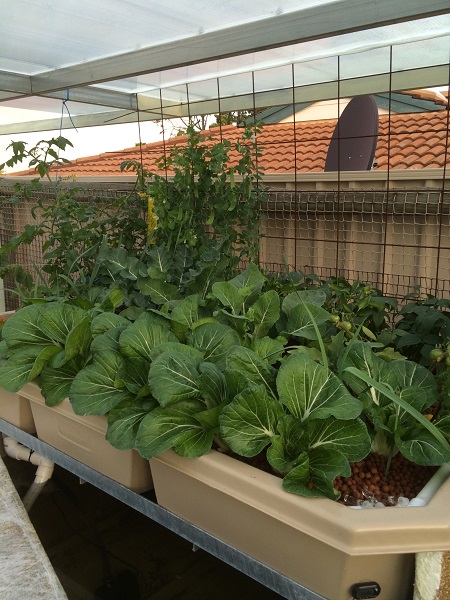 IMG_1041 Resized.jpg