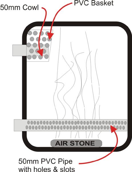 BioFilter (Medium).jpg