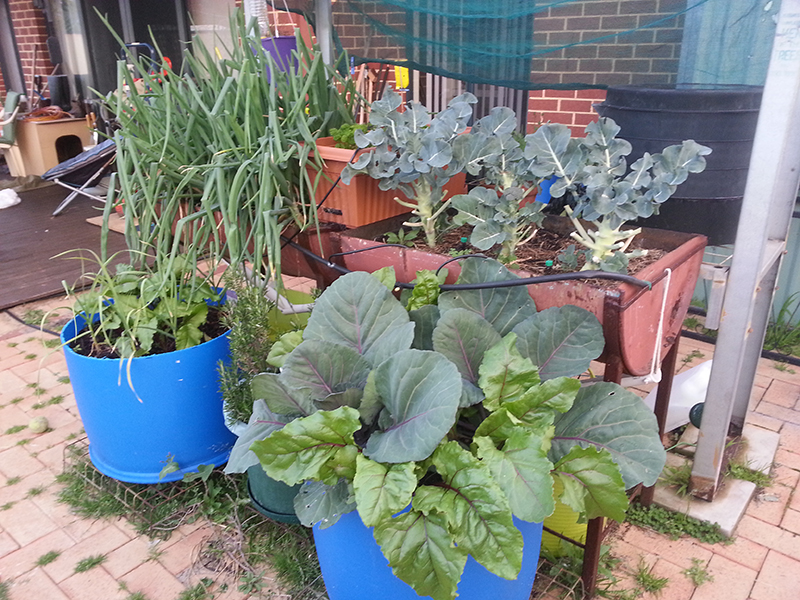 2013-08-30 17.47.03.jpg