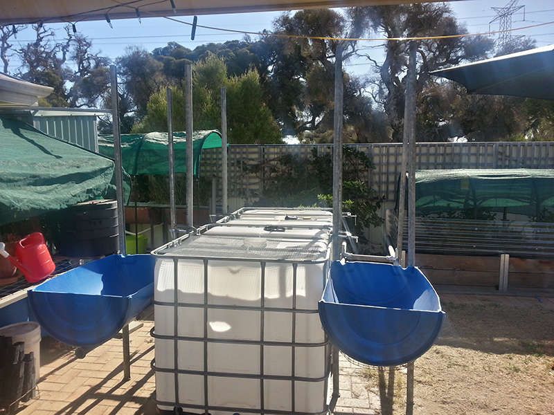 2014-02-23 16.23.48.jpg