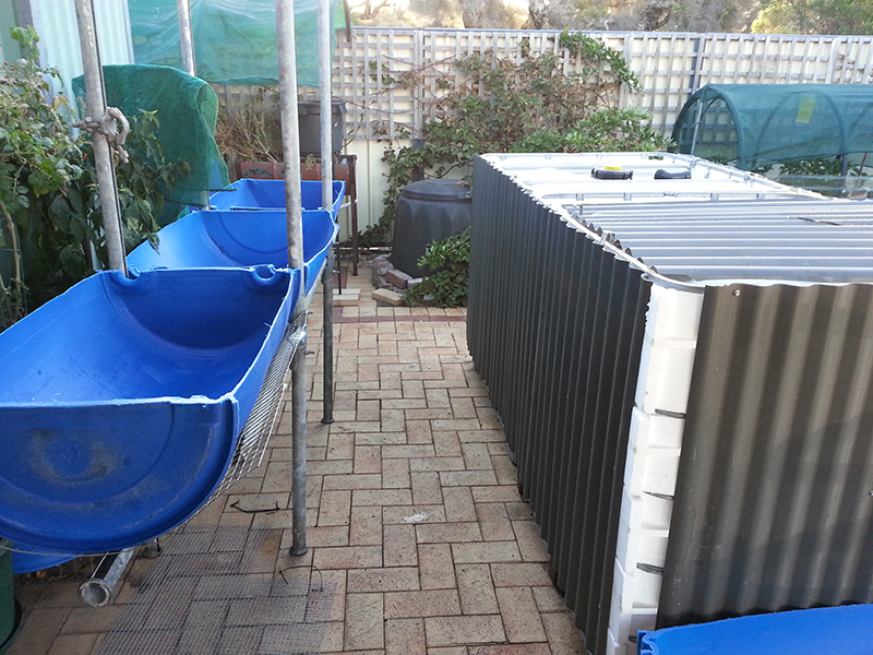 2014-03-03 17.41.01.jpg