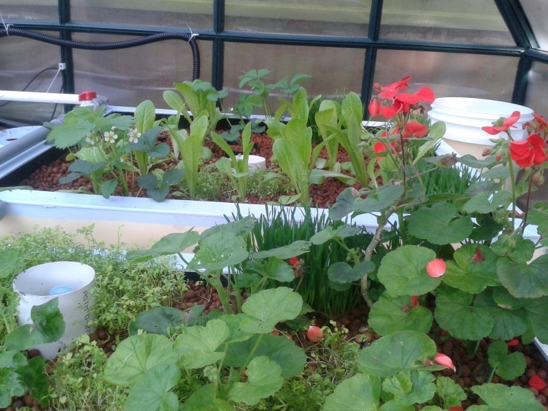 2014-05-15 17.03.48.jpg