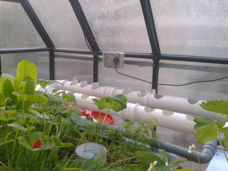 2014-06-05 20.36.47.jpg