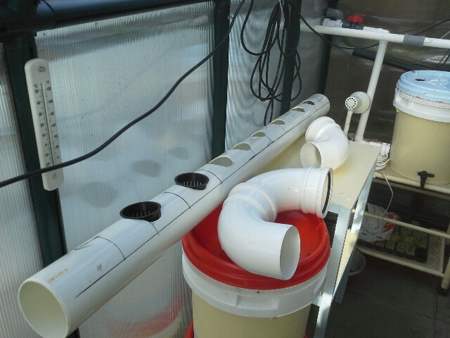 20140602_180540_resized (1).jpg