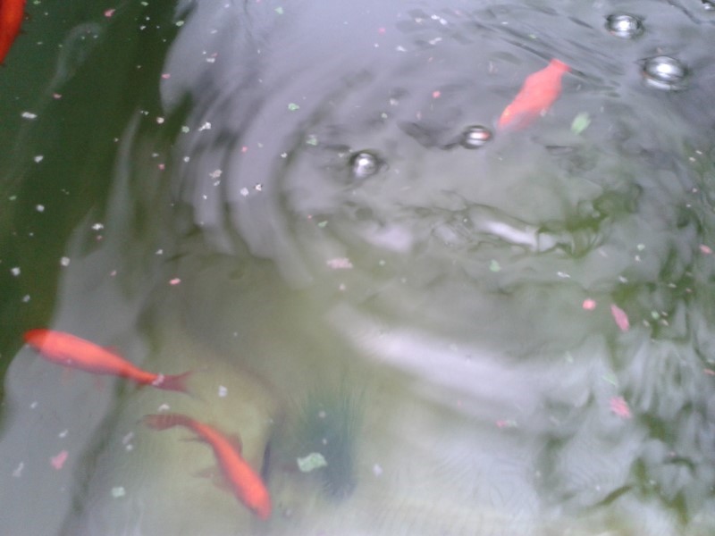 2014-05-26 09.13.25.jpg