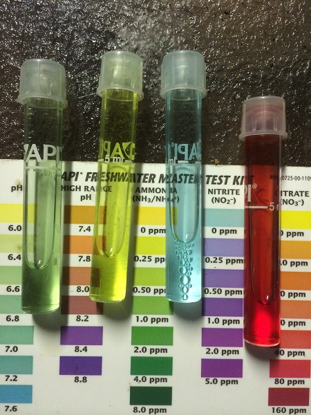 IMG_1070 Resized.jpg