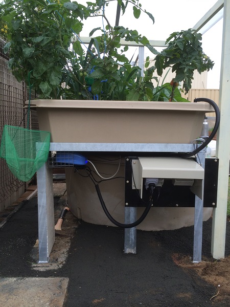 IMG_1067 Resized.jpg