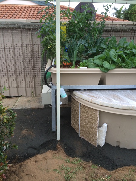 IMG_1069 Resized.jpg