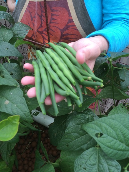 IMG_1063 Resized.jpg