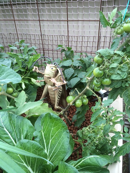 IMG_1065 Resized.jpg