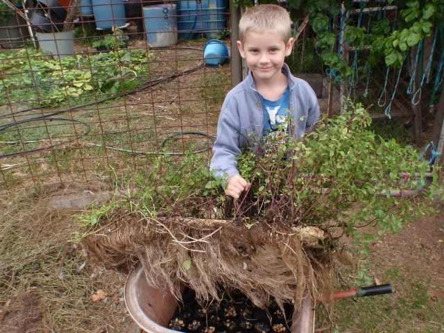 Mint raft (640x480).jpg