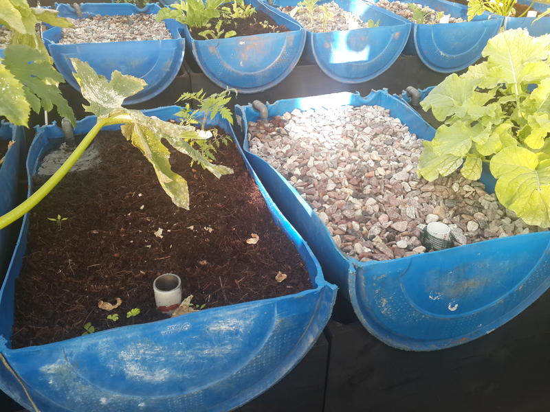 2014-06-11 16.31.07.jpg