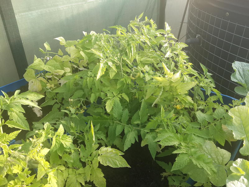 2014-06-11 16.31.29.jpg