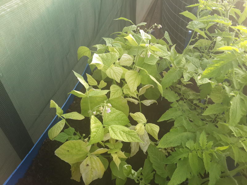 2014-06-11 16.31.38.jpg