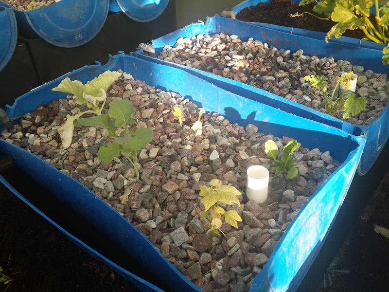 2014-06-11 16.31.57.jpg