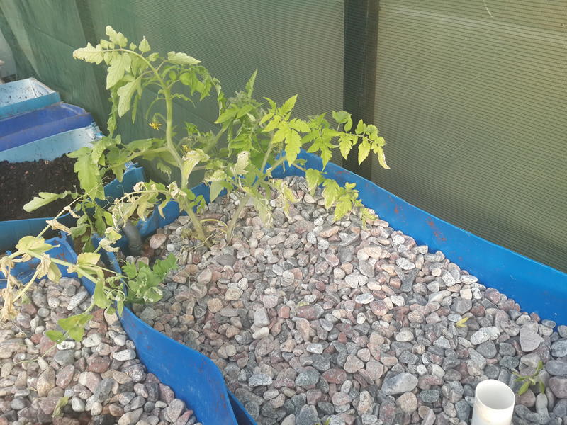 2014-06-11 16.32.07.jpg