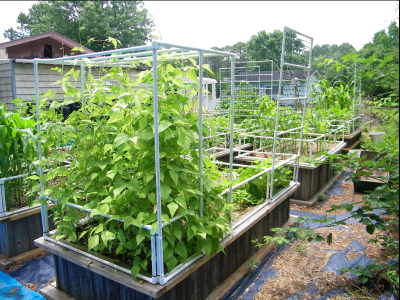 wicking beds southeast 1.JPG