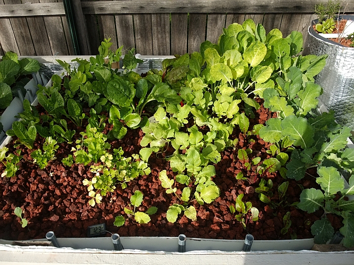 Growth to 15th June 2014.jpg