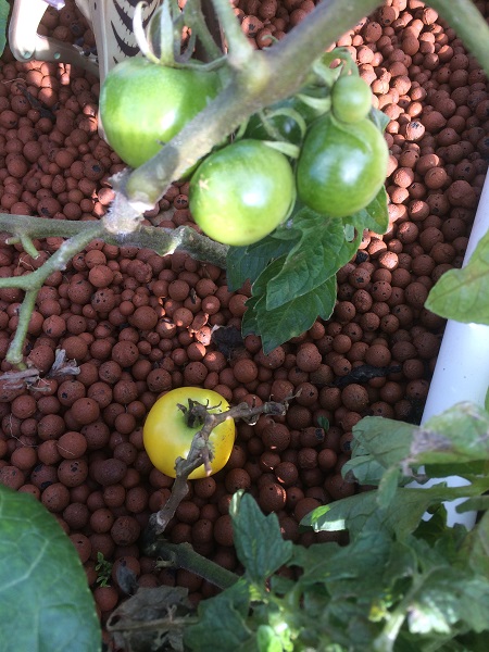 IMG_1091 Resized.jpg