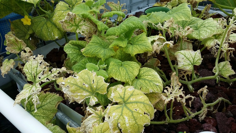 2014-06-15 12.39.52.jpg