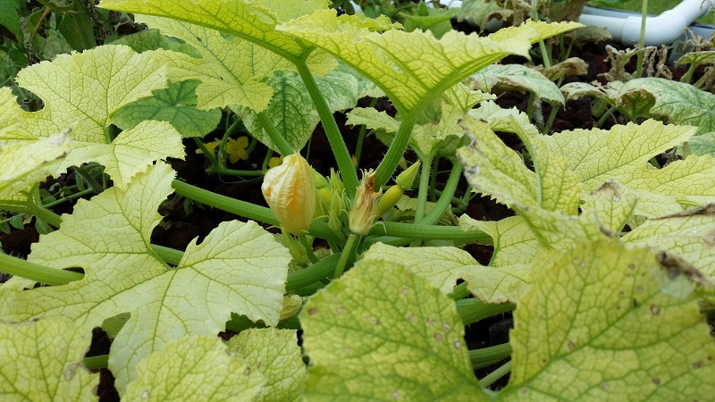 2014-06-15 12.42.58.jpg