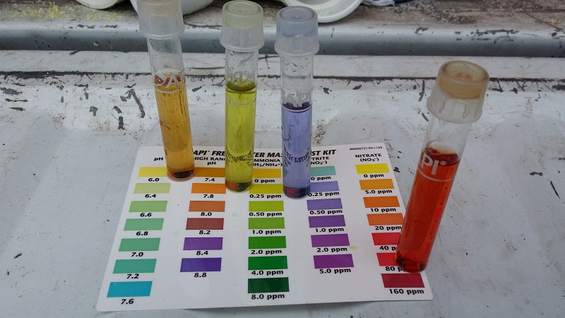 2014-06-15 13.39.42.jpg