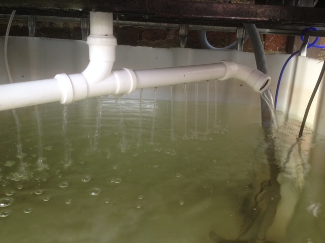 Rotating Aereator.JPG