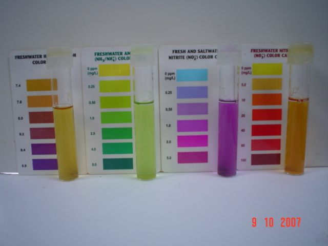 Pond Nutes Oct 09'07.jpg