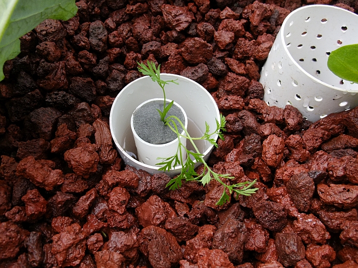 using larger pipe to put them in.jpg