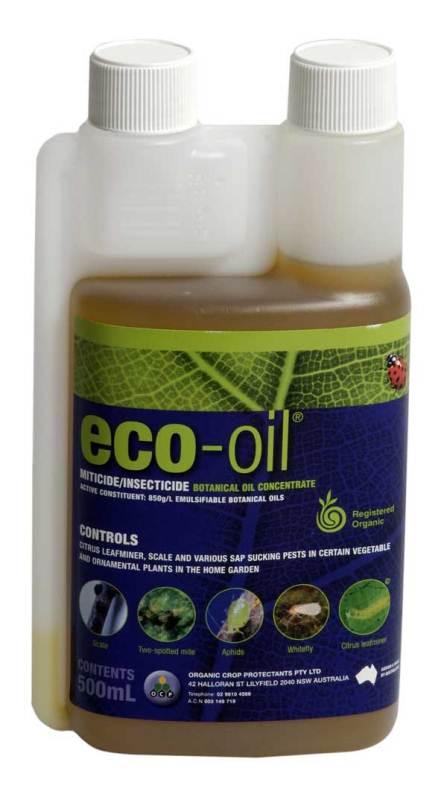 ecooil.jpg