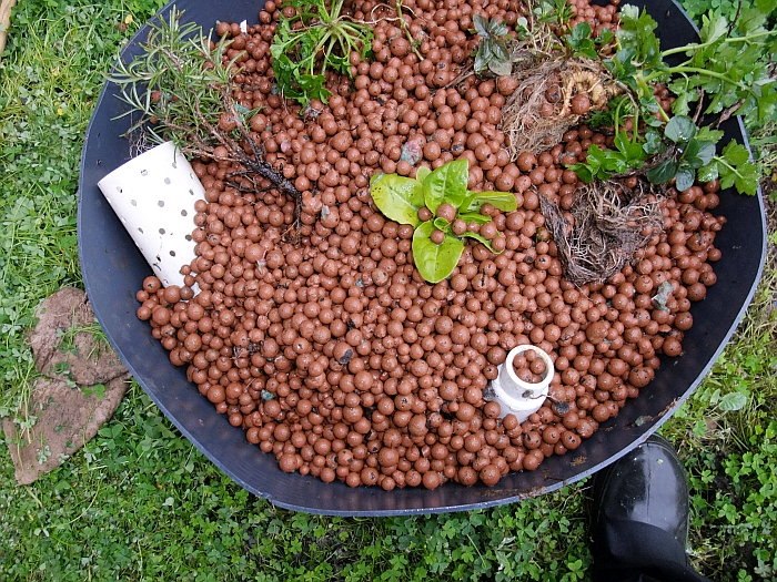 This is the end 19th June 2014.jpg