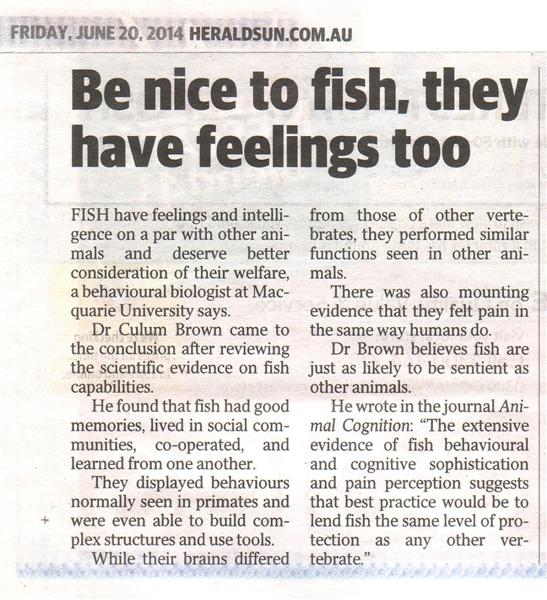 be_nice_to_fish (Medium).jpg