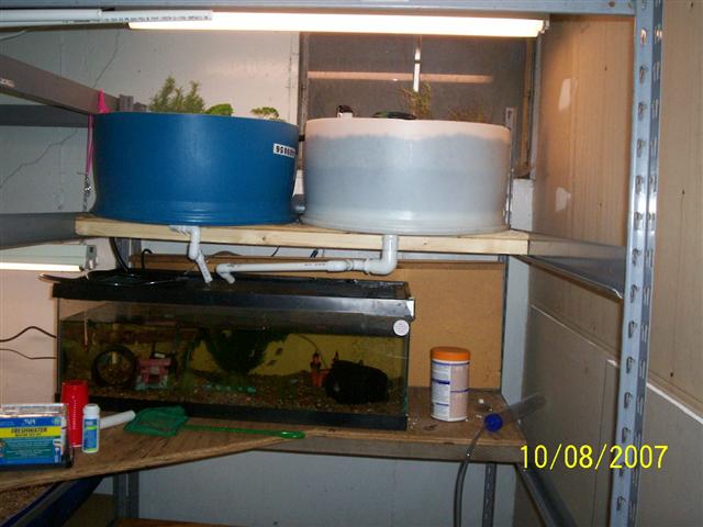 100_0254 (Small).jpg