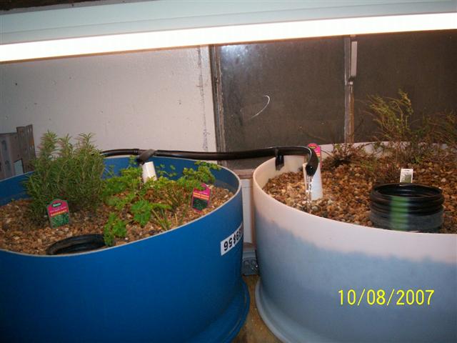 100_0253 (Small).jpg