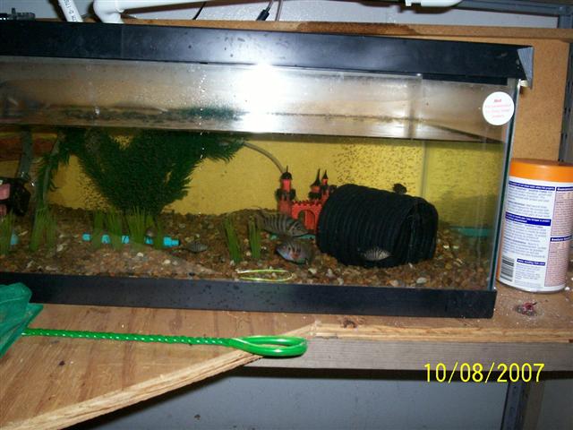 100_0264 (Small).jpg