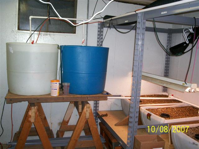 100_0261 (Small).jpg