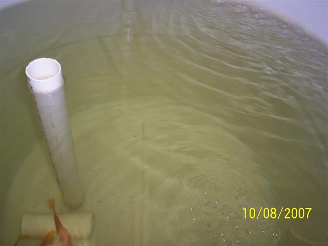 100_0265 (Small).jpg