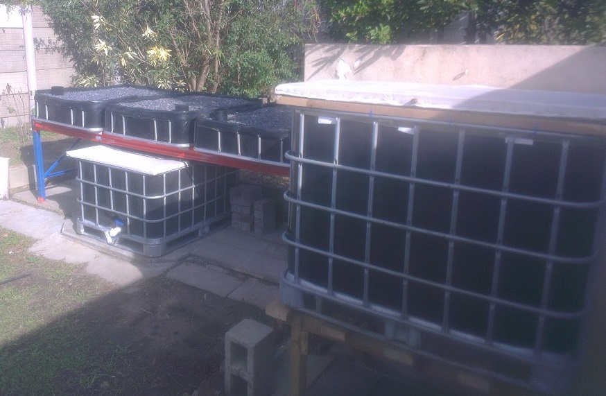 System - Pre plant.jpg