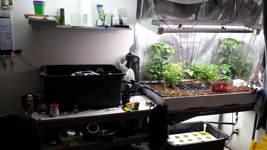 2014-06-25 21.35.10.gif