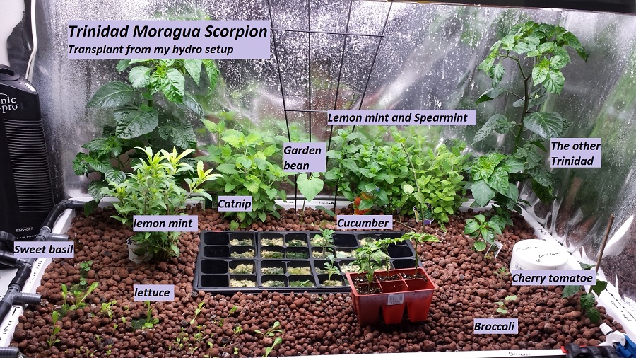 2014-06-25 22.04.48.jpg