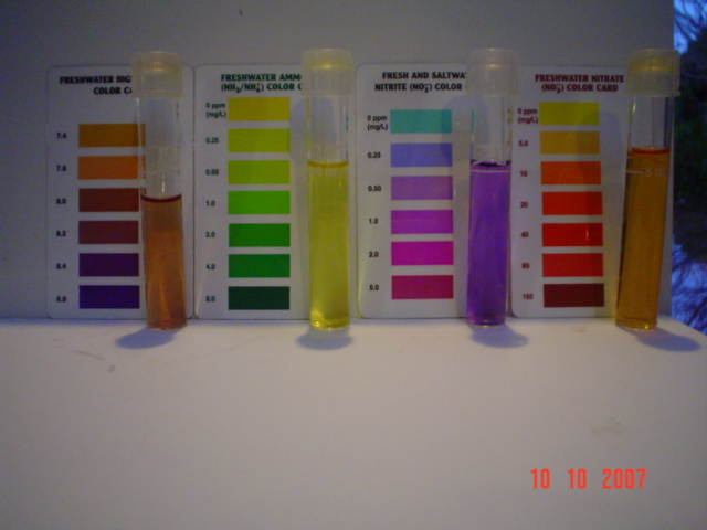 BYAP NutrientsOct 10'07.jpg