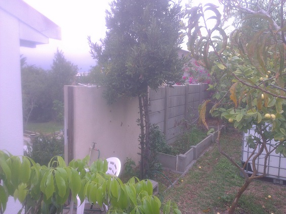 The site other side BYAP.jpg