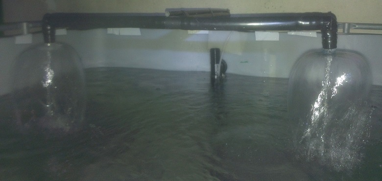 BYAP - Double Intakes.jpg