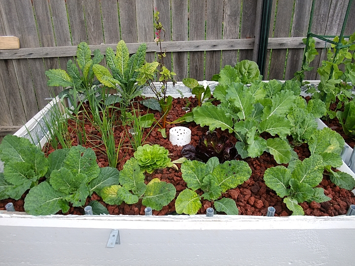 growth to 28th June 2014.jpg