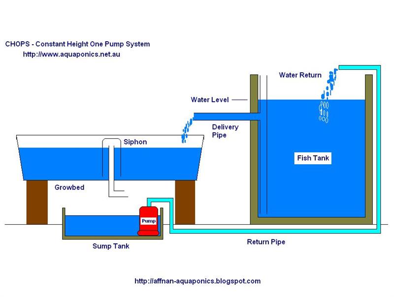 aquaponics-system-schematics-3 (Medium).jpg