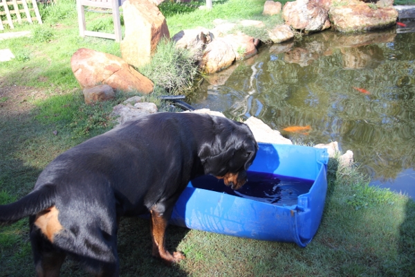 The quality inspector at work - They are in there.jpg