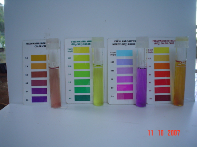 BYAP NutrientsOct 11'07.jpg